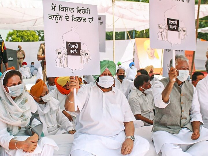 Congress MP moved to Supreme Court against new Agriculture laws, Punjab CM Amrindar Singh will file a plea too नए कृषि कानूनों के खिलाफ SC पहुंचे कांग्रेस के सांसद, अमरिंदर सिंह भी बोले- दायर करेंगे याचिका