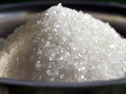 Health Tips: चीनी का करें बायकॉट, मिठास के लिए अपनाएं ये 5 घरेलू विकल्प