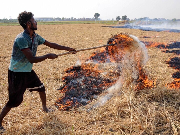 Uttar Pradesh: Chief Secretary Orders Steps to Curb Stubble Burning उत्तर प्रदेश में पराली जलाने पर ग्राम प्रधान भी होंगे जवाबदेह, होगी कार्रवाई