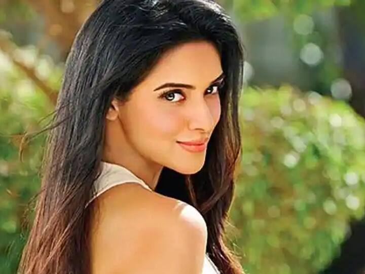 गजनी फेम अदाकारा असीन भी साउथ फिल्म इंडस्ट्री में बड़ा नाम है. उन्हें हिंदी दर्शकों ने भी काफी पसंद किया था. जिसके बाद अदाकारा ने रेड्डी जैसी सुपरहिट फिल्म भी दी. 