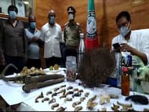 गोरखपुर: पूजा सामग्री की आड़ में चल रहा था दुर्लभ जीवों के अंग की तस्करी का खेल, ऐसे हुआ खुलासा, तीन गिरफ्तार