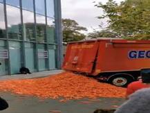 लंदन में कॉलेज के बाहर सड़क पर फेंकी गईं 29 हजार किलो गाजर, जानें क्या थी वजह