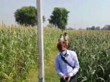 हाथरस केस: जिस खेत में हुई थी घटना, उसका किसान प्रशासन से मांग रहा फसल बर्बाद होने का 'मुआवजा'