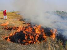 दिल्ली के आस-पास पराली जलाने की घटनाओं में बढ़ोतरी, शहर में वायु गुणवत्ता और खराब होने की आशंका