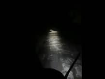 VIRAL VIDEO: रास्ते में बैठे शेर से जब फॉरेस्ट गार्ड ने की हाथ जोड़कर विनती, देखिए फिर क्या हुआ ?