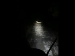 VIRAL VIDEO: रास्ते में बैठे शेर से जब फॉरेस्ट गार्ड ने की हाथ जोड़कर विनती, देखिए फिर क्या हुआ ?