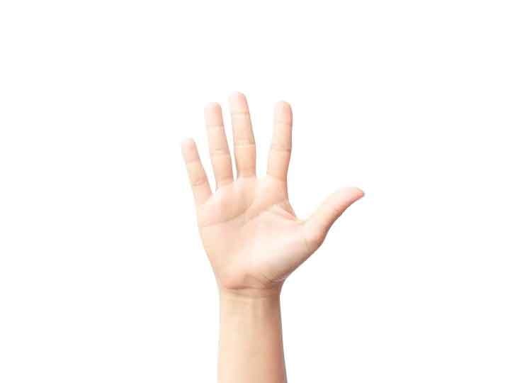 Palmistry: Before seeing or showing palm lines, know these rules हस्तरेखा: हथेली की रेखाओं को देखने या दिखाने से पहले जरूर जान लें ये नियम