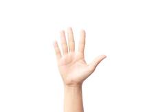 हस्तरेखा: हथेली की रेखाओं को देखने या दिखाने से पहले जरूर जान लें ये नियम