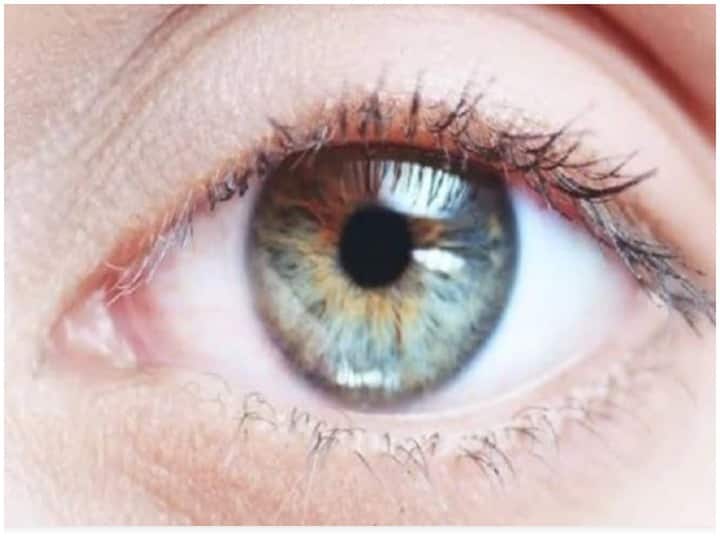 Eye care: These home remedies can uplift your vision and improve eyesight, but how to try Eye care: स्वास्थ्य के साथ आंखों की देखभाल भी है जरूरी, दृष्टि बढ़ाने में मददगार हो सकते हैं ये घरेलू उपचार