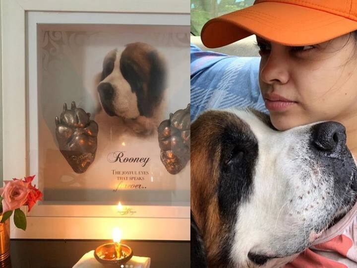 Sumona Chakravarti pet dog passes away actress write emotional note says My first baby I will always love you पालतू डॉग की मौत से सदमे में सुमोना चक्रवर्ती, तस्वीर संग शेयर किया इमोनशल नोट, सेलेब्स ने जताया दुख