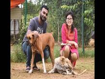 भुवनेश्वर के एक जोड़े ने अपनी शादी के दिन पेश की मिसाल, 500 बेजुबान जानवरों को दी दावत