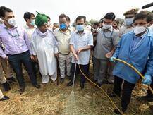 दिल्ली: पराली को खाद में बदलने के लिए बायो डिकम्पोजर का छिड़काव शुरू, सीएम केजरीवाल ने की शुरुआत