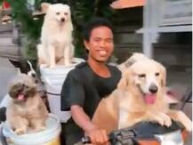 स्कूटर पर कुत्तों को ले जा रहे शख्स का वीडियो हुआ वायरल, यहां देखें