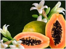Health Tips: पपीते का फूल भी स्वास्थ्य के लिए है मुफीद, ब्लड प्रेशर कंट्रोल के साथ भूख बढ़ाता और वजन घटाता है
