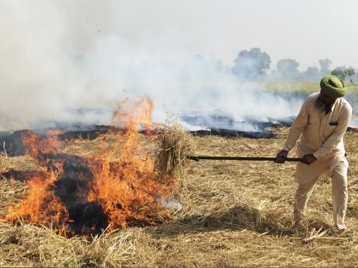 पराली जलाने की समस्या को SC ने माना गंभीर, पूर्व जज को सौंपा समस्या से निपटने का ज़िम्मा