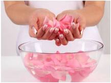 चेहरे की सुंदरता निखारने के काम आ सकता है गुलाब, पसीने की बदबू और कब्ज ऐसे करेगा दूर