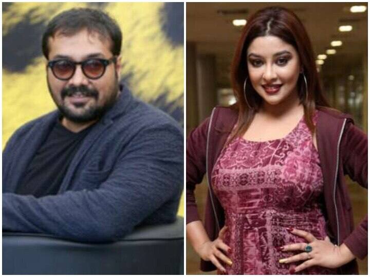 payal ghosh claimed she told about anurag kashyap to irrfan pathan यौन शोषण मामले में पायल घोष ने किया दावा, क्रिकेटर इरफान पठान के सामने आए थे अनुराग कश्यप के मैसेज