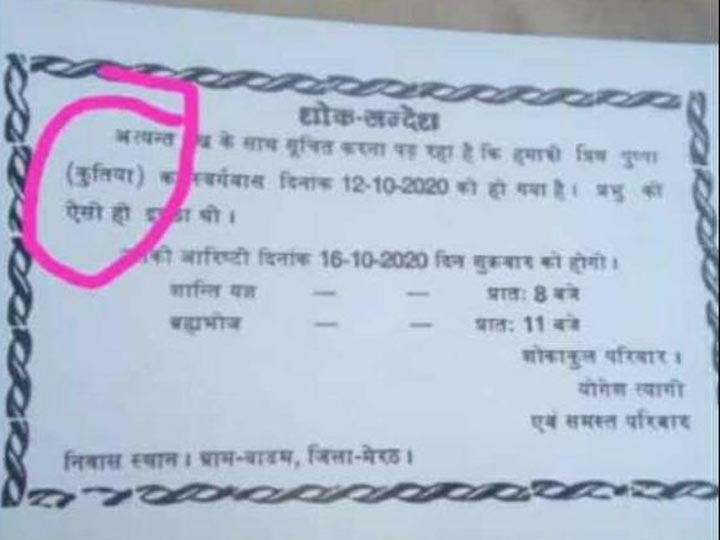 मेरठ: बैंड बाजे के साथ निकली कुत्ते की शव यात्रा, तेरहवीं का भोज और शोक सभा भी रखी गयी, पढ़ें ये दिलचस्प खबर