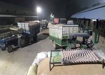 पीलीभीत: धान खरीद केंद्रों पर बिचौलियों और माफियाओं के आगे किसान लाचार, डीएम के दावों की खुली पोल