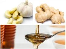 Health Tips: प्राकृतिक एंटी बॉयोटिक्स से बढ़ाएं इम्यूनिटी, बीमार होने का खतरा हो जाएगा कम