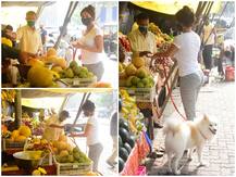 Spotted: ठेले से फल खरीदते स्पॉट हुईं मलाइका अरोड़ा, सामने आईं ये तस्वीरें