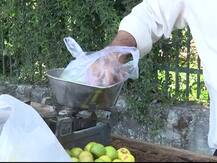 देहरादूनः सिंगल यूज प्लास्टिक का इस्तेमाल बढ़ा, अब फिर से कार्रवाई की तैयारी में प्रशासन