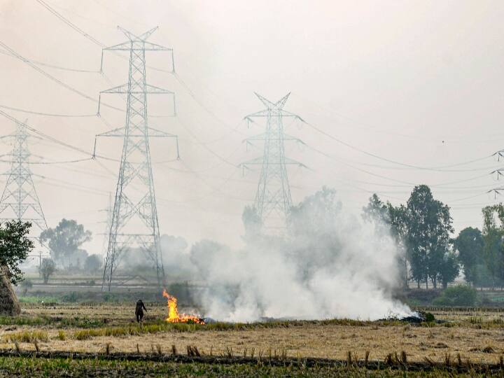 पराली जलाने की समस्या से निपटने के लिए केंद्र बनाएगा नई संस्था, SC ने प्रस्ताव पर जताया संतोष