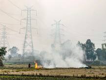 पराली जलाने की समस्या से निपटने के लिए केंद्र बनाएगा नई संस्था, SC ने प्रस्ताव पर जताया संतोष