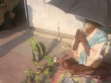 सड़क किनारे तेज धूप में बैठकर पौधे बेचते थे बुजुर्ग, सोशल मीडिया पर तस्वीर वायरल हुई तो ऐसे पहुंची मदद