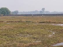 दिल्ली: बायो डिकम्पोज़र तकनीक से 15 दिनों में गल गई करीब 90 फीसदी पराली, किसान संतुष्ट