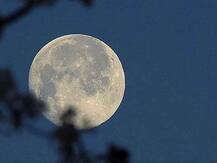 शरद पूर्णिमा की रात खुले आसमान के नीचे क्यों रखी जाती है 'खीर', जानें कारण