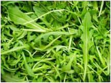 Winter Food: कोरोना महामारी और सर्दी में खाएं साग, इम्यूनिटी बढ़ाने समेत शरीर की गर्मी रखेगा बरकरार