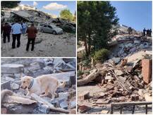 तुर्की में शक्तिशाली भूकंप, छह इमारतें ध्वस्त, तस्वीरें देखकर दिल दहल जाएगा