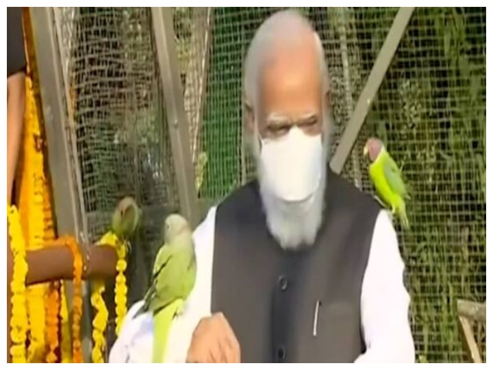 PM Narendra Modi inaugurates Sardar Patel Zoological Park in Kevadia Gujrat near statue of unity सरदार पटेल प्राणी उद्यान में पीएम मोदी ने किया जंगल सफारी का उद्घाटन, तोते उड़ाते आए नज़र