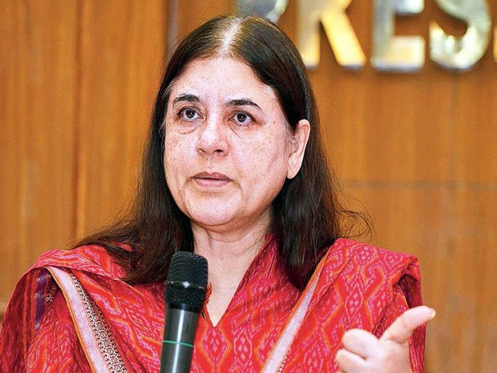 BJP MP Maneka Gandhi called and asked to return the bribe money in one hour ann बीजेपी सांसद मेनका गांधी ने फोन कर रिश्वत का पैसा एक घंटे में वापस करने को कहा