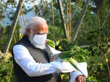 पीएम नरेंद्र मोदी ने ‘जंगल सफारी’ का उद्घाटन किया, देखें दिलचस्प PHOTOS