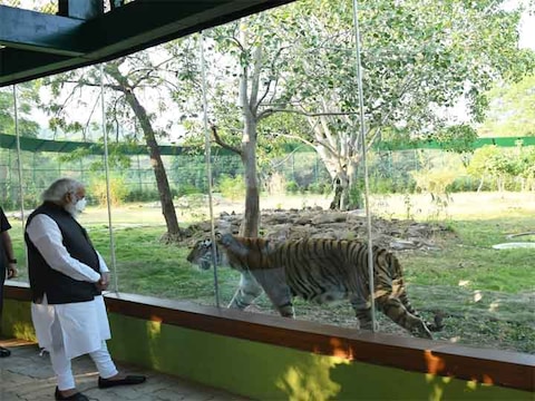पीएम नरेंद्र मोदी ने ‘जंगल सफारी’ का उद्घाटन किया, देखें दिलचस्प PHOTOS