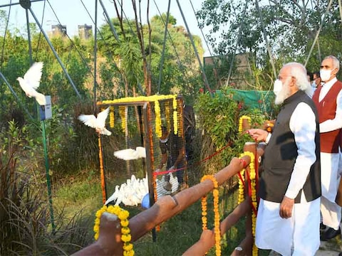 पीएम नरेंद्र मोदी ने ‘जंगल सफारी’ का उद्घाटन किया, देखें दिलचस्प PHOTOS
