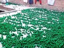 मेरठः धमाके के बाद छापेमारी जारी, पुलिस ने गिरफ्तार किए