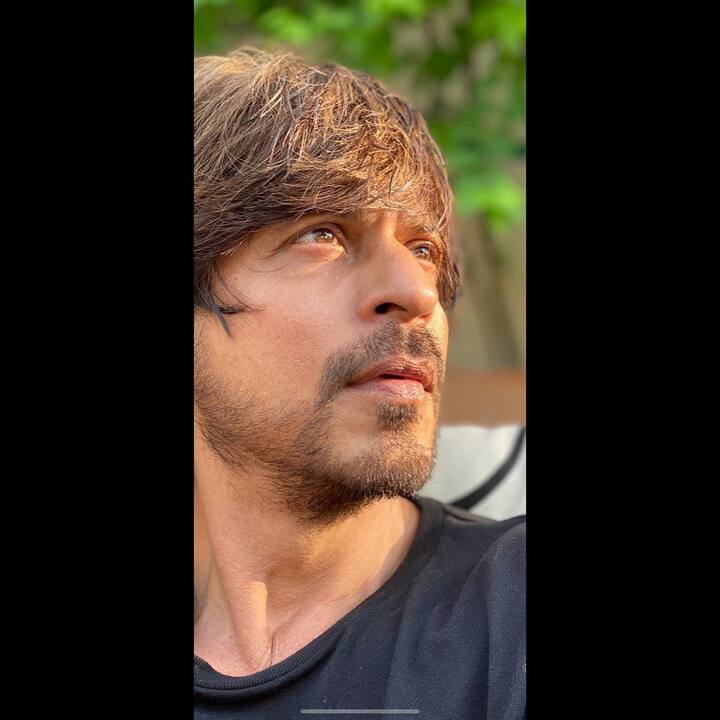 मुंबई क्रिकेट एसोसिएशन ने शाहरुख खान के खिलाफ शिकायत दर्ज करवाई थी. शाहरुख खान ने वानखेड़े स्टेडियम में एक मैच के दौरान एक बच्चे को गाली दी और दुर्व्यवहार किया था. वे चाहते थे कि शाहरुख की लाइफटाइम के लिए इस स्टेडियम में एंट्री ना हो. लेकिन शाहरुख खान की पांच साल तक एंट्री पर बैन लगा दिया गया था.
