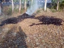 रायबरेली: बढ़ते प्रदूषण के बावजूद पराली जलाकर प्रशासन को ठेंगा दिखा रहे किसान, सजा और जुर्माने का है प्रावधान