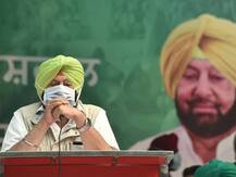 CM केजरीवाल पर अमरिंदर सिंह का तंज, कहा- क्या उन्हें गेहूं और धान के बीच का अंतर पता है?
