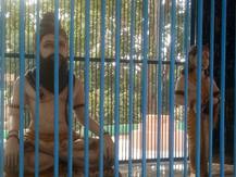 मेरठ: किला परीक्षितगढ़ में है सांपों और राजा परीक्षित का अनोखा रहस्य, जानिए इसके बारे में