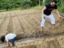 Saif Ali khan के शहजादे साहब Taimur Ali Khan ने किया खेतों में काम, फोटो हुई Viral