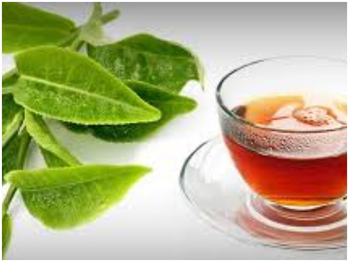 Tea, made with guava leaves, increases your health, know how to make drink स्वास्थ्य को मजबूत बनाने के लिए अमरूद की पत्तियों से बनी चाय का करें सेवन, इस तरह बनाएं ड्रिंक