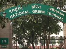 Delhi Pollution: दिल्ली-NCR में आज से 30 नवंबर तक पटाखों की बिक्री और फोड़ने पर NGT ने लगाया पूर्ण प्रतिबंध