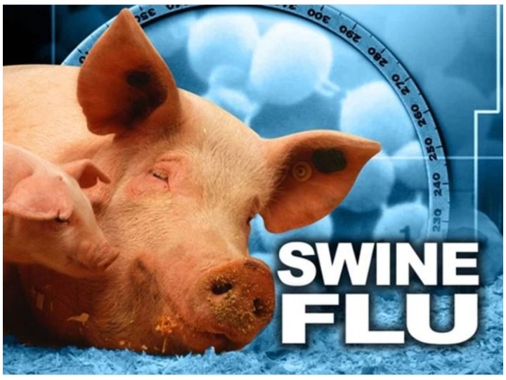 Rare strain of Swine Flu- H1N2 infects first person in Canada, How dangerous is it? H1N2: कनाडा में स्वाइन फ्लू के दुर्लभ स्ट्रेन का किसी इंसान में चला पता, जानिए कितना खतरनाक है वायरस?