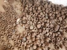 मेरठ की इन महिलाओं ने साकार किया आत्मनिर्भर भारत का सपना, गाय के गोबर से बनाये दीपक और पेंट, शुरू की ऑनलाइन बिक्री