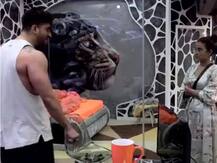 Bigg Boss 14: Aly Goni ने दी बिग बॉस को धमकी, बोले- 'ना माइक पहनूंगा न खाना खाऊंगा, यहां सब कुछ तोड़ दूंगा'