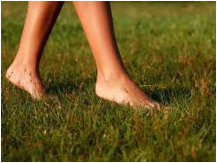 Walking barefoot on soil is good for your health, know how it gives benefits मिट्टी पर नंगे पांव टहलना आपकी सेहत के लिए है फायदेमंद, जानिए कैसे पहुंचता है शरीर को फायदा?